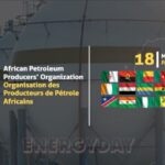 COP28 UAE: African Petroleum Producers’ Organization accuses IEA of hindering inclusive Energy Transition